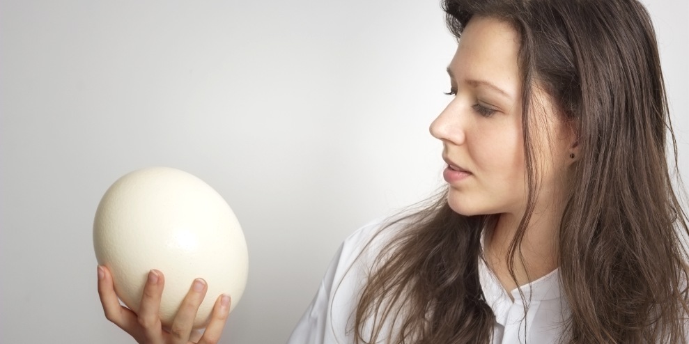 Камень в мочевом пузыре размером со страусиное яйцо