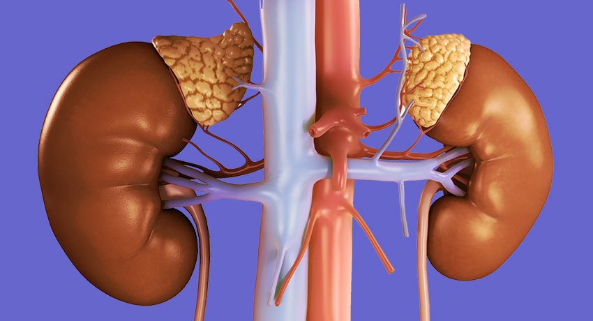 Роль гормонов коры надпочечников в прогнозе эффективности комплексного лечения больных раком желудка и толстой кишки