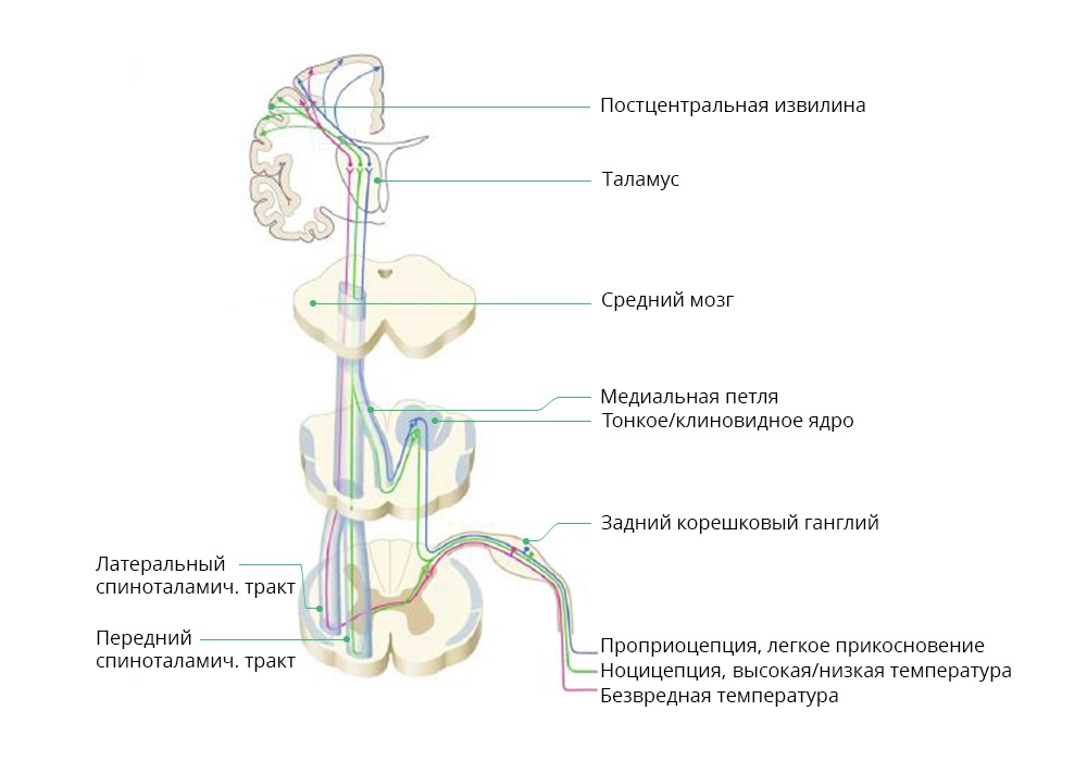 обезболивание хабр2