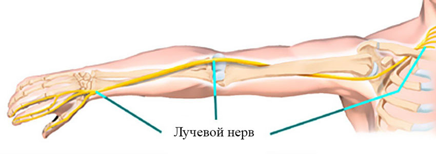 Как вылечить поврежденный нерв на руке